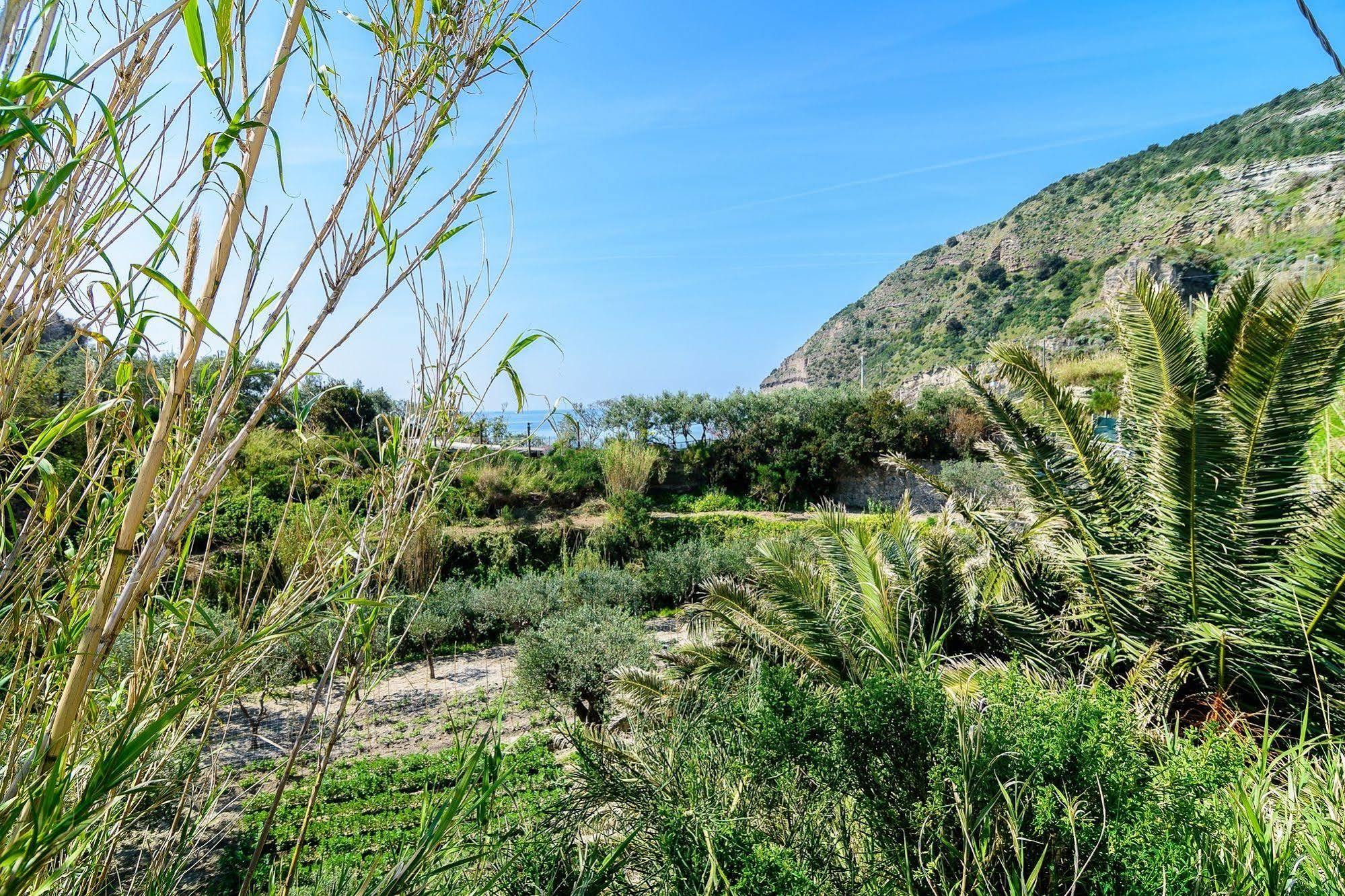 Hotel Villa Fumerie Forio di Ischia Екстериор снимка